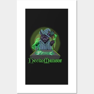 Cat Necromancer Posters and Art